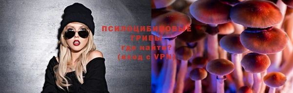 прущие крисы Беломорск