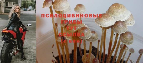 стаф Белоозёрский