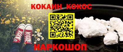 шишки Лесосибирск