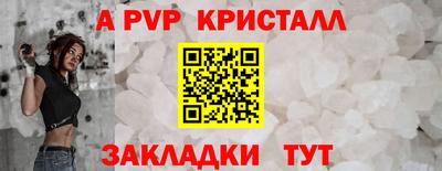 шишки Лесосибирск