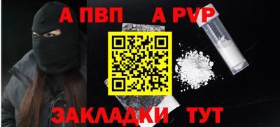 шишки Лесосибирск