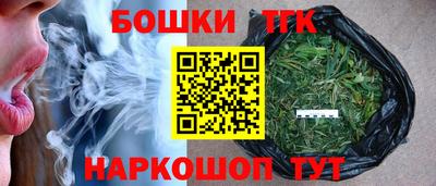 шишки Лесосибирск