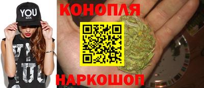 гидропоника Ливны