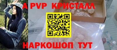 шишки Лесосибирск