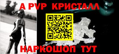 шишки Лесосибирск