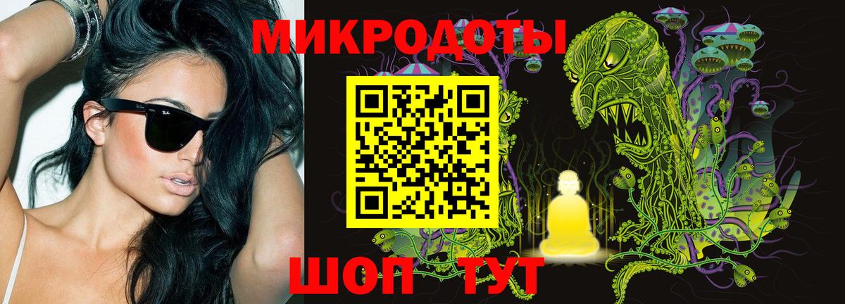 Гай  Псилоцибиновые грибы Cubensis  Вход с VPN 