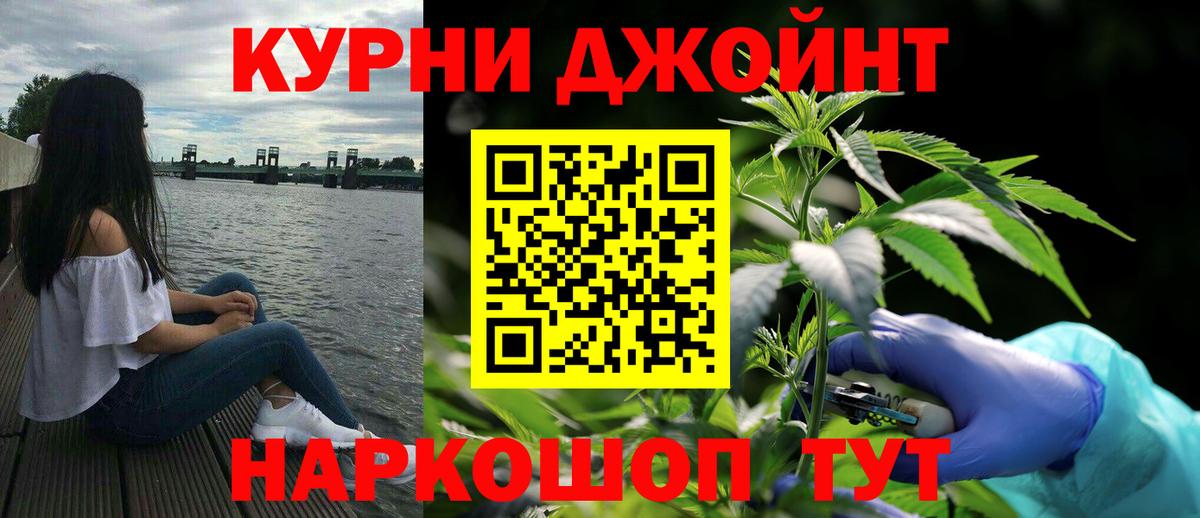 Каннабис семена  МАРИХУАНА OG Kush  Вход с VPN  Гай 